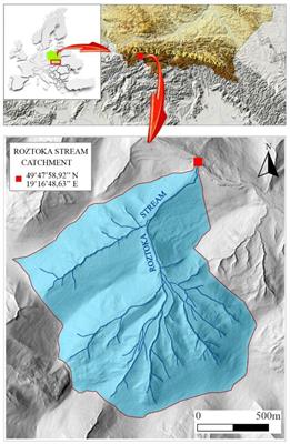 Effects of woody debris on alluvial sediment differentiation and particulate organic matter accumulation in a mountainous forest stream in the Polish Carpathians